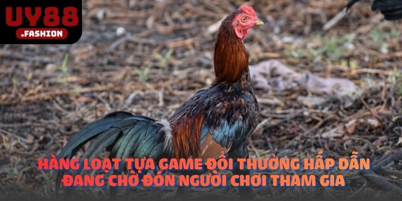 Hàng loạt tựa game đổi thưởng hấp dẫn đang chờ đón người chơi tham gia