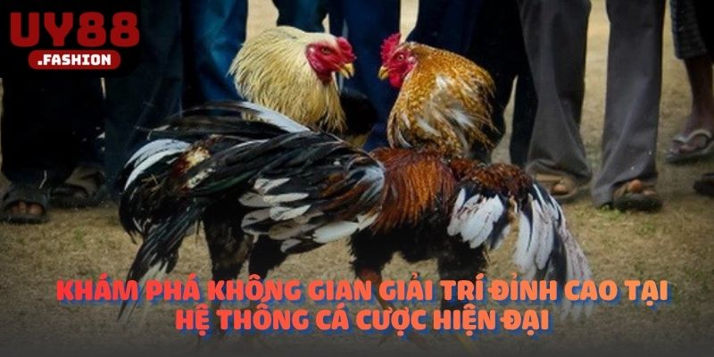 Khám phá không gian giải trí đỉnh cao tại hệ thống cá cược hiện đại