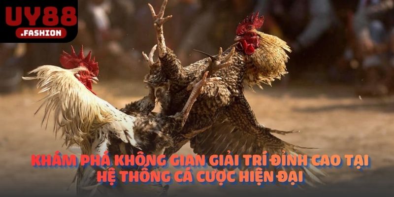 Khám phá không gian giải trí đỉnh cao tại hệ thống cá cược hiện đại