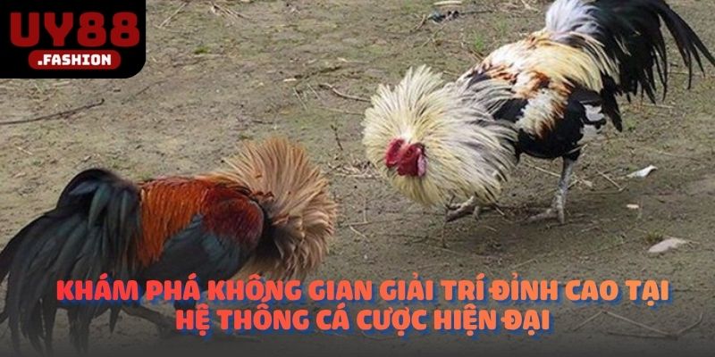 Khám phá không gian giải trí đỉnh cao tại hệ thống cá cược hiện đại