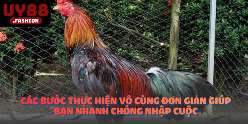 Các bước thực hiện vô cùng đơn giản giúp bạn nhanh chóng nhập cuộc