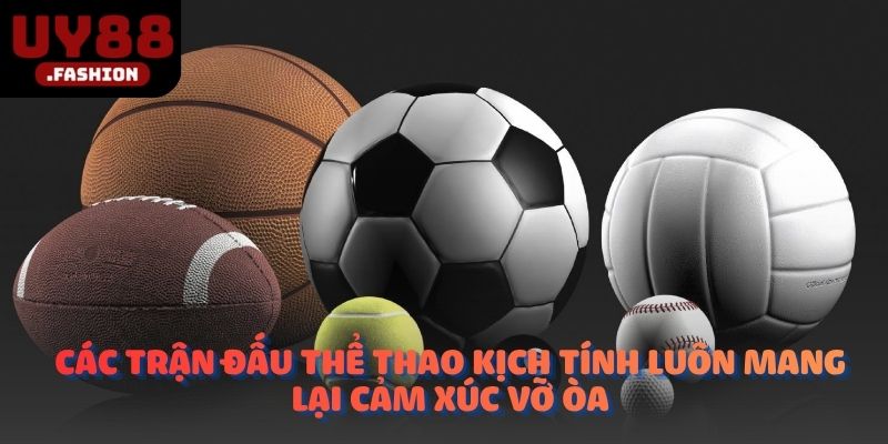 Các trận đấu thể thao kịch tính luôn mang lại cảm xúc vỡ òa
